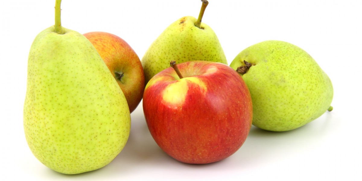 Modelle, Wirtschaftswissenschaft vergleicht Äpfel mit Birnen