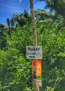 Hinweisschild Affen Schule, same same thailand
