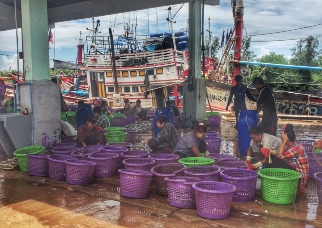 Fischsortierung Pak Naam, Chumphon, Thailand