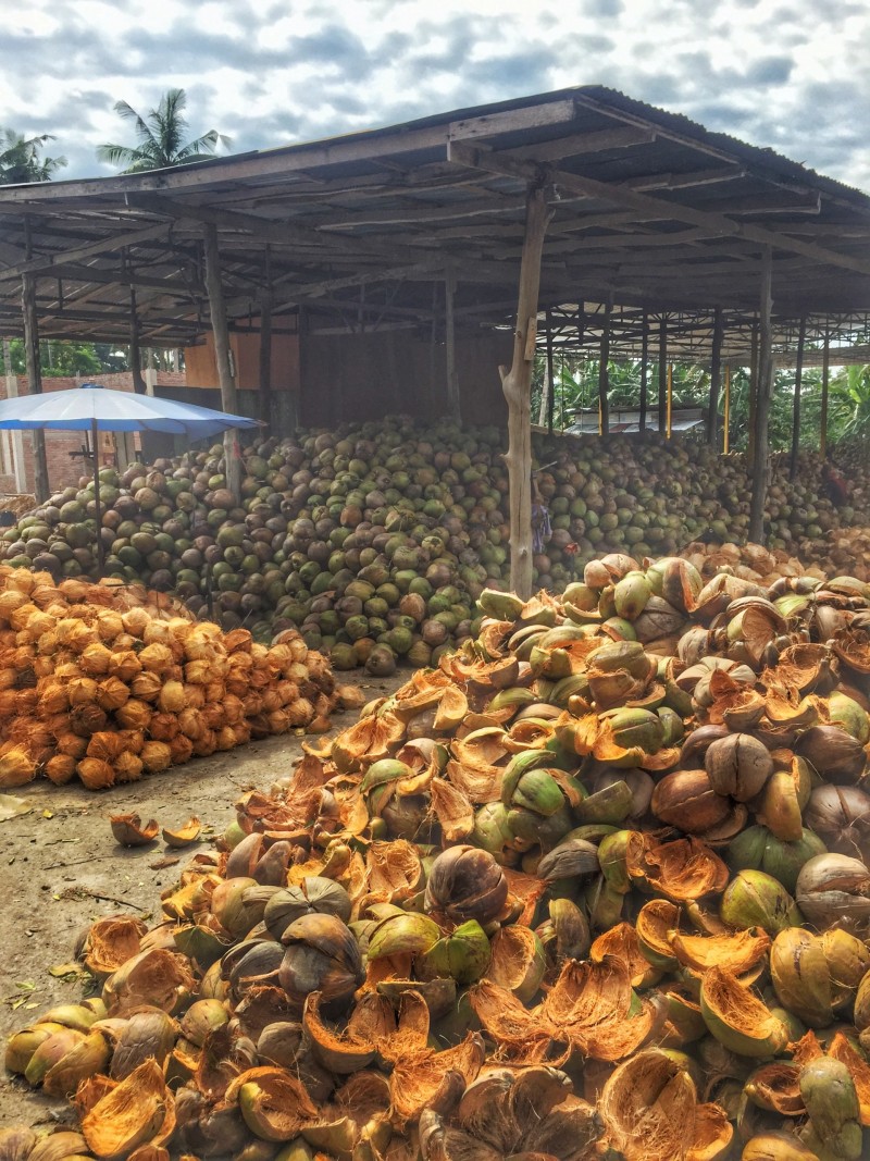 Kokosnüsse Zwischenlager und Verarbeitung Chumphon Thailand