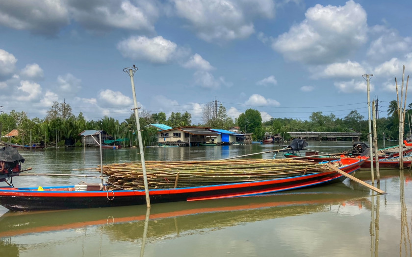 Bambus für Muschelzucht in Chumphon Thailand