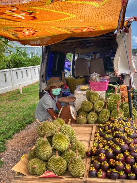 Durian Frucht Verkäufer Chumphon