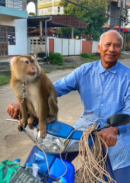 Affe Mann Moped Chumphon, Thailand