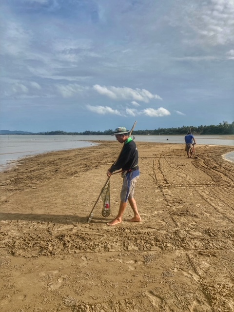 Thailänder beim Muscheln sammeln am Strand bzw. Wattenmeer in Chumphon