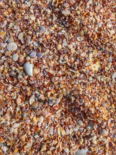 Muschelsuche und röttlicher Sand Ao Nang