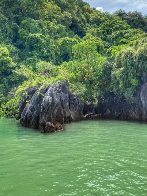 Nationalpark Phang Nga, Andamanensee (10)