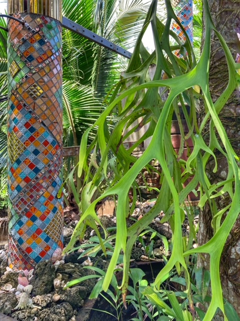 Pflanzen mosaic 
