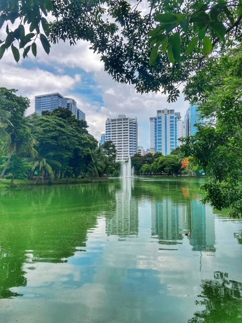 lumphini park bangkok thailand