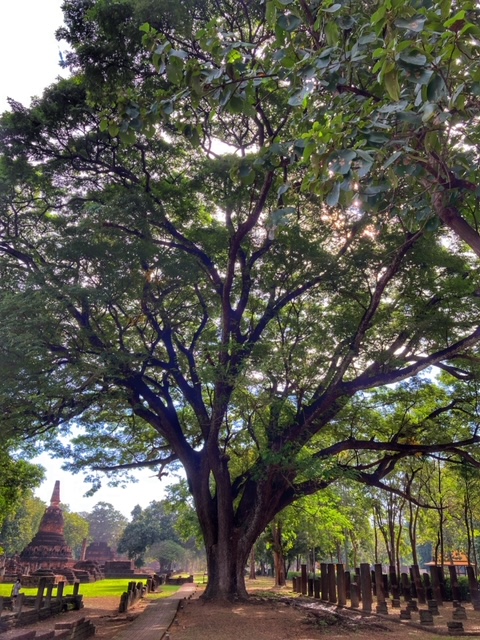 Kamphaeng Phet, thailand, geschichtspark