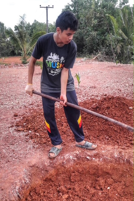 neffe plantage in chumphon thailand