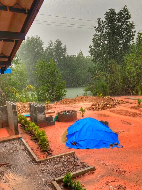 garten in thailand bei starkregen plantage, kanal, pak naam chumphon, thailand