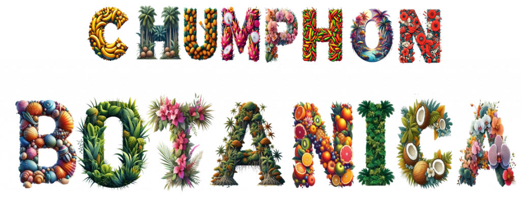 Chumphon botanica - die seniorenresidenz in thailand, in pak naam chumphon