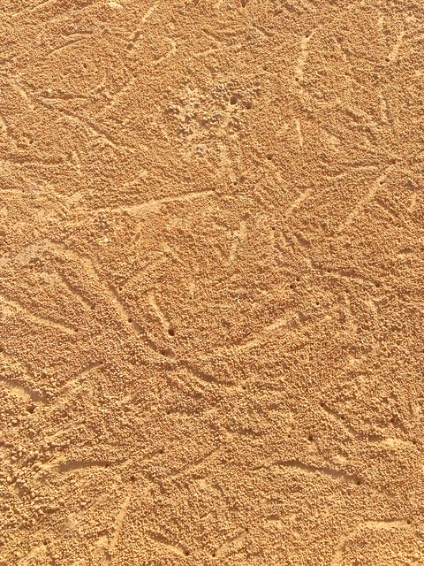 strand pak naam chumphon, thailand, kleine krebse