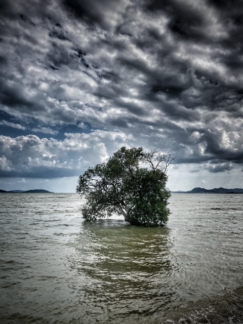 hoechste tide, januar um den vollmond
