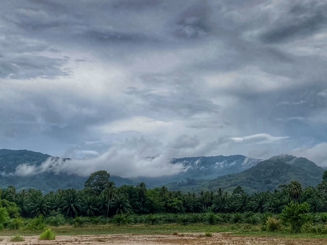 botanisch, tropisch, exotisch, chumphon, thailand