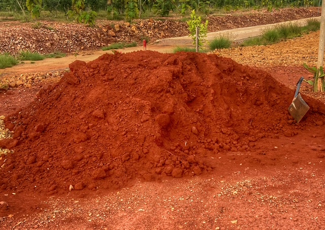 plantage august 2026 6 qubic rote erde