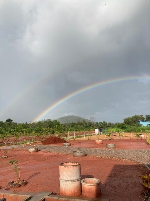 regen regenbogen, plantage garten in thailand, pak naam chumphon, golf von thailand