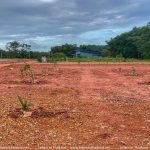 garten in thailand, plantage, suan metawi, chumphon