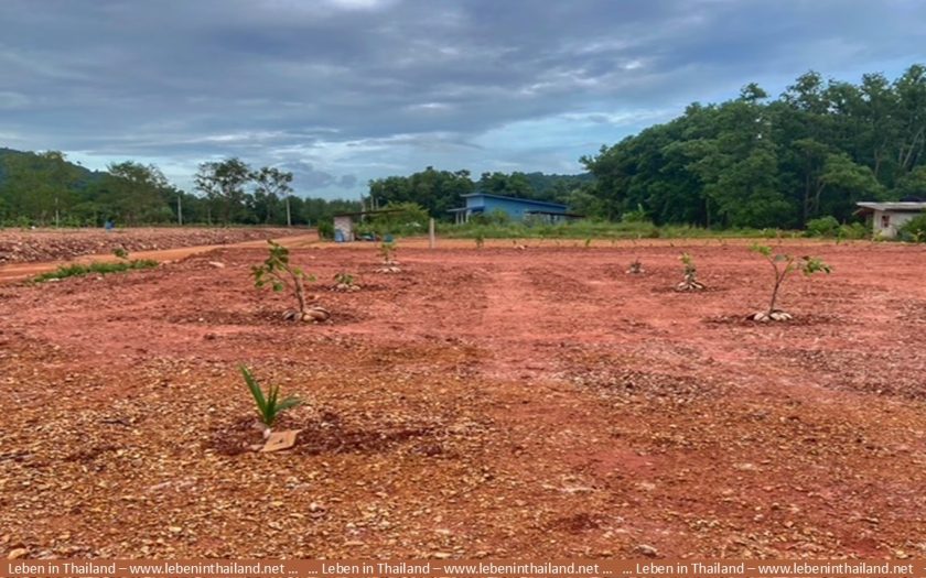 garten in thailand, plantage, suan metawi, chumphon