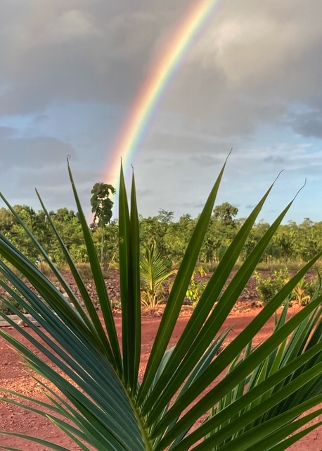 plantage regenbogen pak naam chumphon, garten in thailand