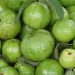 Guave Farang Ja Muh Baxida, Früchte aus Thailand aber auch weiße Ausländer aus Deutschland